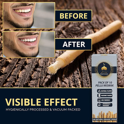 Natural Miswak Toothbrush Sticks (10-Pack) with Holder - Organic Teeth Cleaning for Oral Health & Whitening