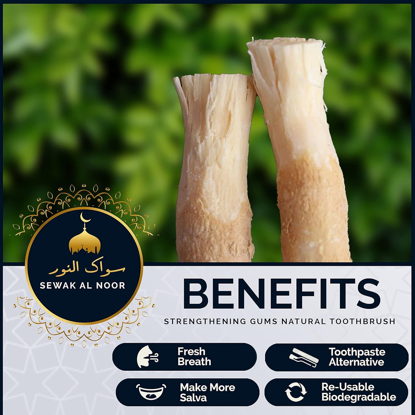 Natural Miswak Toothbrush Sticks (10-Pack) with Holder - Organic Teeth Cleaning for Oral Health & Whitening
