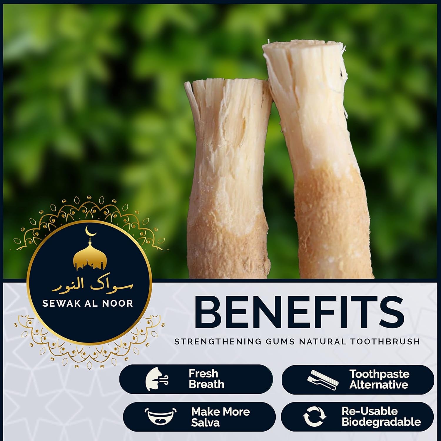 Natural Miswak Toothbrush Sticks (10-Pack) with Holder - Organic Teeth Cleaning for Oral Health & Whitening