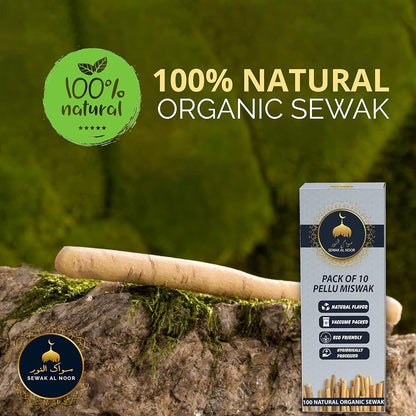 Natural Miswak Toothbrush Sticks (10-Pack) with Holder - Organic Teeth Cleaning for Oral Health & Whitening